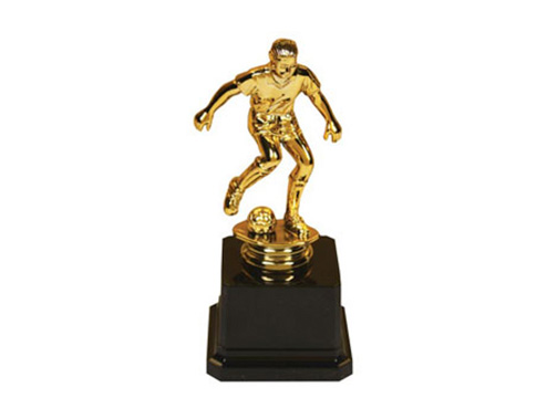 Plaket, ödül jpg