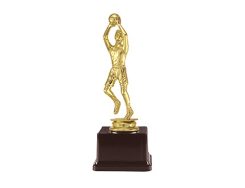 Plaket, ödül jpg